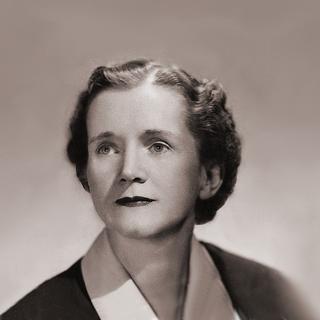Predstavujeme: Rachel Carson