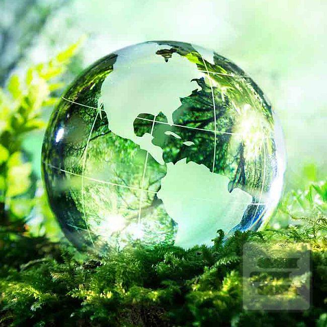 Knihy z kategórie Životné prostredie a ekológia