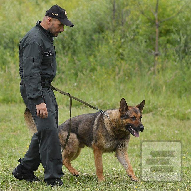 Knihy v kategórii Kynológia, psy (407)