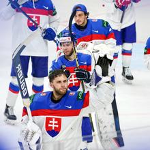 Kolekcia titulov: Hokej