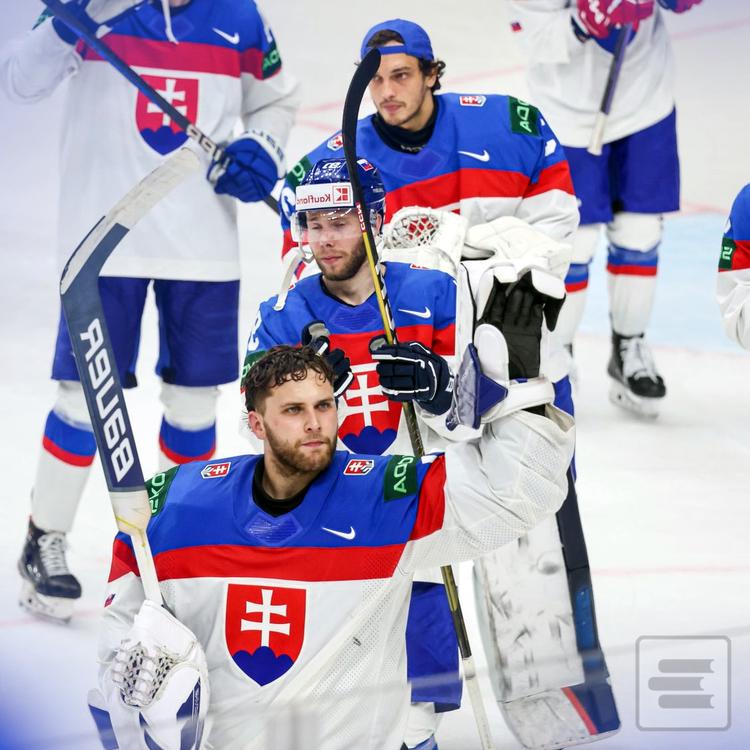 Kolekcia titulov: Hokej