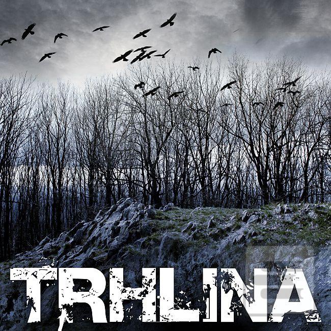 Článok: Trhlina