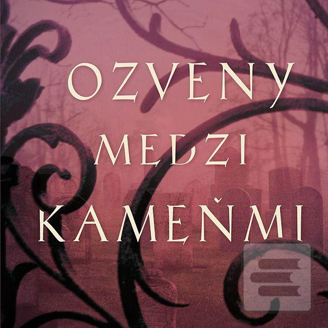 Článok: Ozveny medzi kameňmi