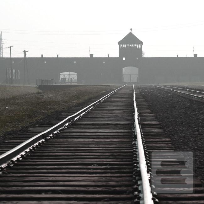 Článok: Medzinárodný deň pamiatky obetí holokaustu