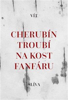 Kniha: Cherubín troubí na kost fanfáru - Jiří Slíva, Vít Ondráček