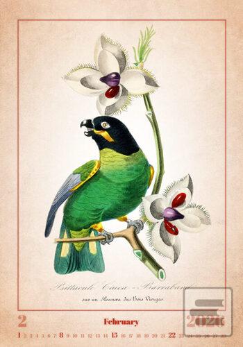 Aviarium 2026 - nástěnný…