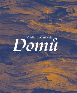 Kniha: Domů - 1. vydanie - Vladimír Matějček