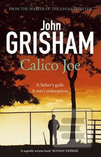 Calico Joe (John Grisham)