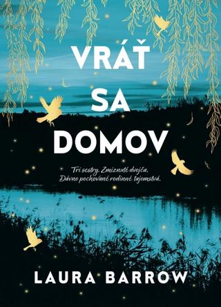 Kniha: Vráť sa domov - 1. vydanie - Laura Barrow