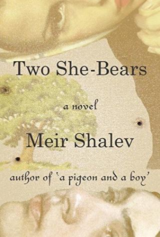 Kniha: Two She-Bears - Meir Shalev