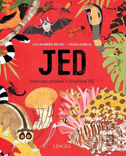 Jed (Ico Romero Reyes)