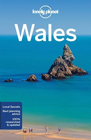 Kniha: Wales 6