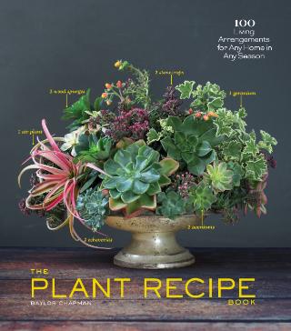 Kniha: Tabletop Plant Recipe Book - Baylor Chapman