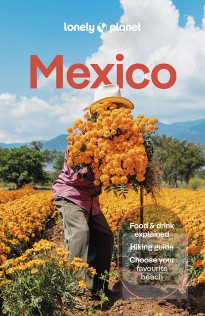 Lonely Planet Mexico (Lonely Planet,Joel Balsam,Jennifer Fernandez Solano,John Hecht,Nellie Huang,Anna Kaminski,Liza Prado,Brendan Sainsbury,Regis St Louis,Paul Stafford)