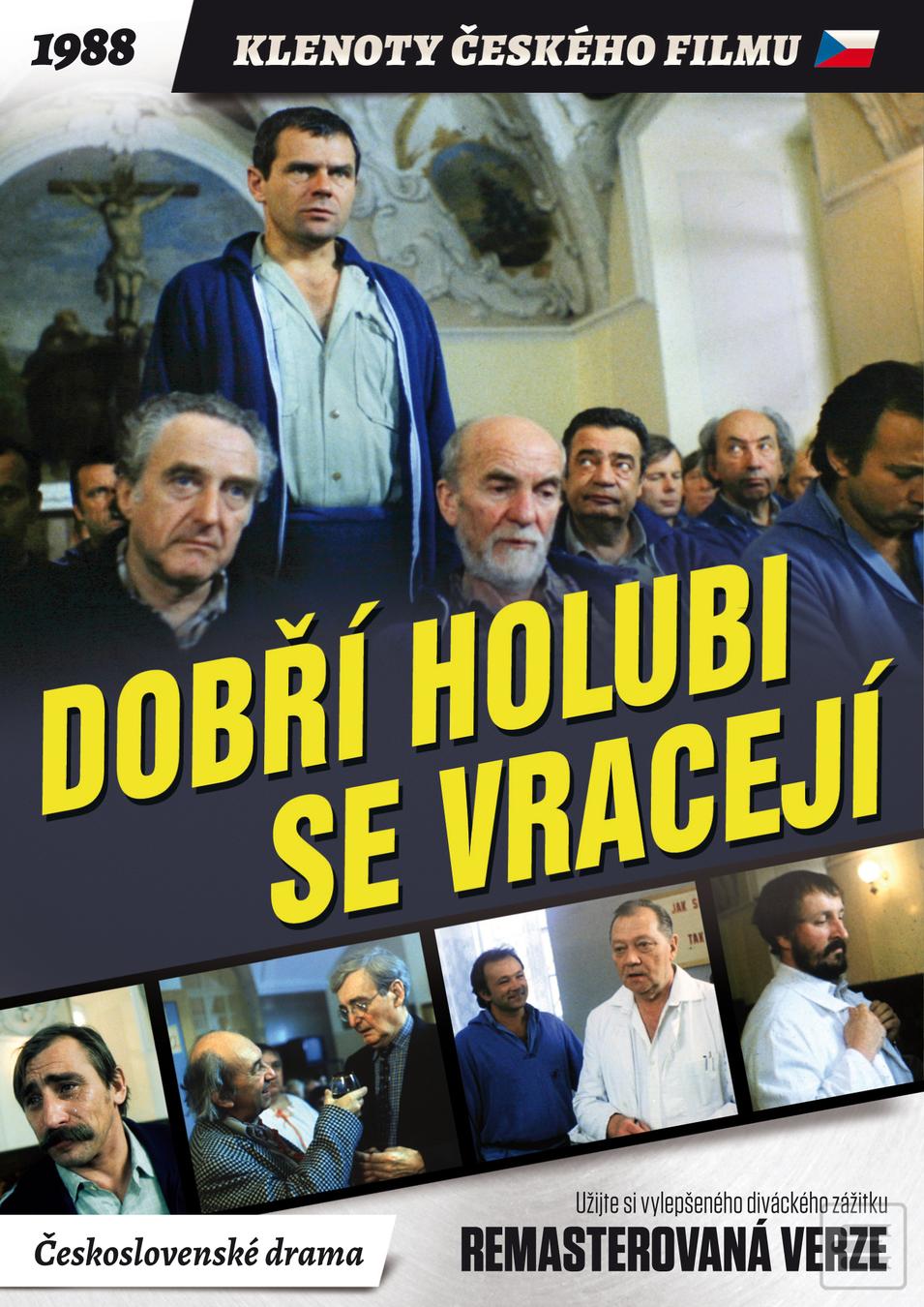 Dobří holubi se vracejí (Dušan Klein)