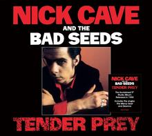 Kniha: Nick Cave & The Bad Seeds:  Tender Pray - Bertelsmann Music Gr