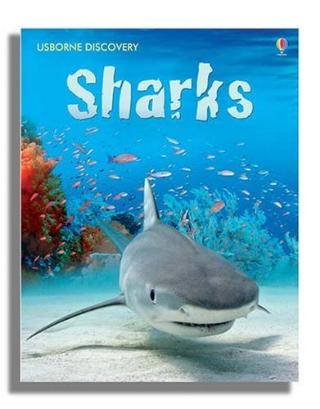 Kniha: Sharks - Jonathan Sheikh-Miller