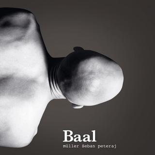 Kniha: Richard Müller: Baal - Richard Müller