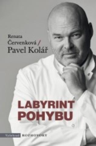 Kniha : Labyrint pohybu - Knižní rozhovor s renomovaným fyzioterapeutem prof . Kolářem - 1. vydanie
