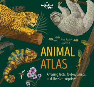 Kniha: Animal Atlas 1 - Anne Rooney