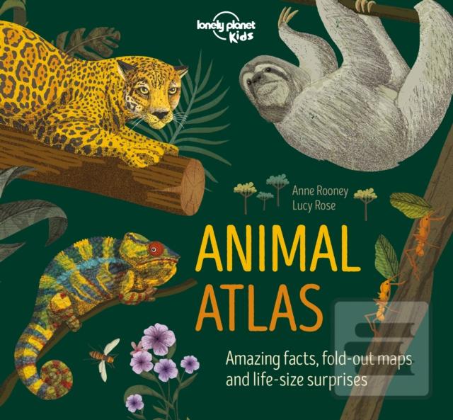 Kniha: Animal Atlas 1 - Anne Rooney