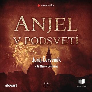 Kniha: Audiokniha Anjel v podsvetí (Barbarič a Stein 7) - Juraj Červenák