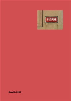 Kniha: Uličnice - Vít Janota