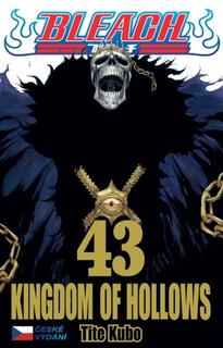 Kniha: Bleach 43: Kingdom of Hollows - Kingdom of Hollows - 1. vydanie - Tite Kubo