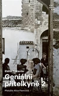 Kniha: Geniální přítelkyně 2 - Příběh nového jména - Elena Ferrante