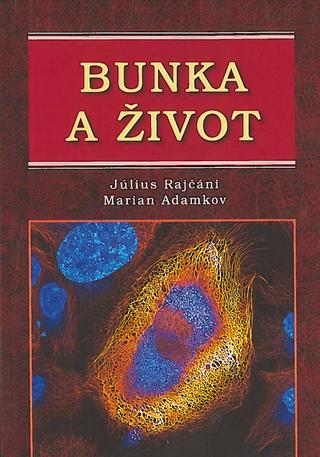 Kniha: Bunka a život - Július Rajčáni, Marian Adamkov