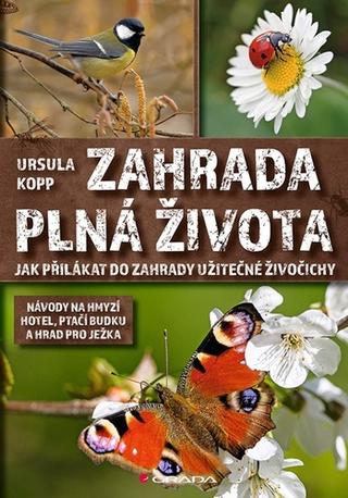 Kniha: Hmyz a jiní drobní živočichové - 1. vydanie - Bärbel Oftringová