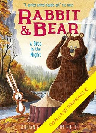 Kniha: Brumla a Remcík 4: Mistr stavitel - 1. vydanie - Julian Gough