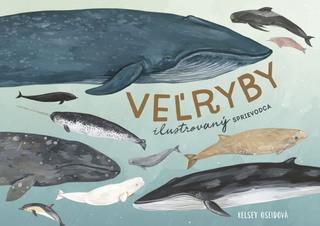 Kniha: Veľryby: ilustrovaný sprievodca - ilustrovaný sprievodca - 1. vydanie - Kelsey Oseid