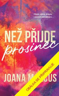 Kniha: Než přijde prosinec - 1. vydanie - Joana Marcús