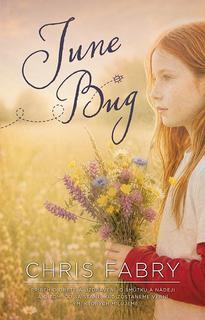 Kniha: June Bug - Príbeh o obete a uzdravení, o smútku a nádeji a o tom, čo sa stane, keď zostaneme verni tým, ktorých milujeme - Chris Fabry
