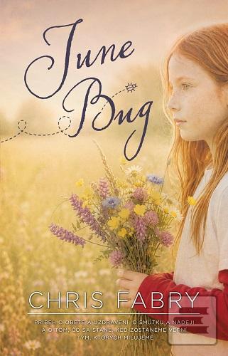 Kniha: June Bug - Príbeh o obete a uzdravení, o smútku a nádeji a o tom, čo sa stane, keď zostaneme verni tým, ktorých milujeme - Chris Fabry