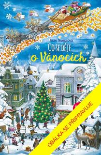 Kniha: Co se děje o Vánocích - 4. vydanie - Anne Suess