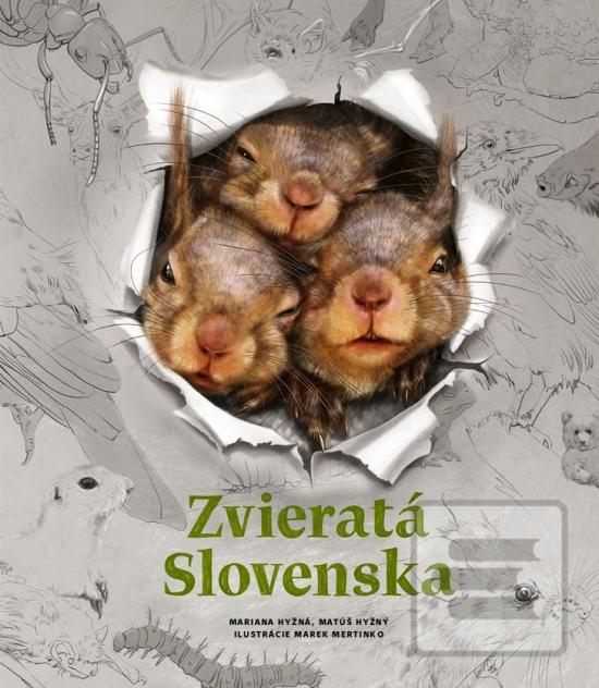 Kniha: Zvieratá Slovenska - 50 zaujímavých zvierat žijúcich na Slovensku - 1. vydanie - Mariana Hyžná; Matúš Hyžný
