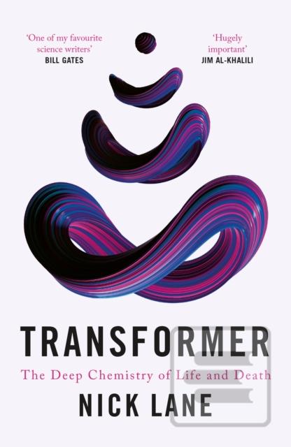 Transformer (Nick Lane)