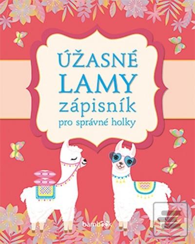 Zápisník pro správné hol…