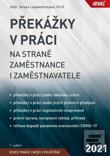 Překážky v práci na stra… (Tereza Landwehrmann)