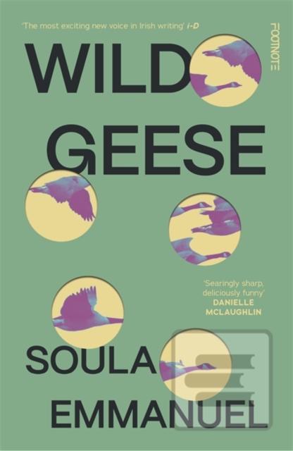Wild Geese (Soula Emmanuel)