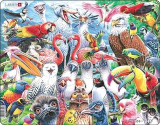 Puzzle: Puzzle Veselí ptáčci
