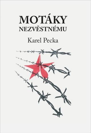 Kniha: Motáky nezvěstnému - Karel Pecka