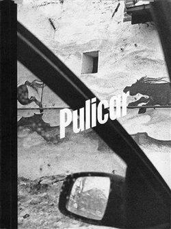 Kniha : Pulicar