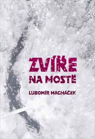 Kniha: Zvíře na mostě - 1. vydanie - Lubomír Macháček