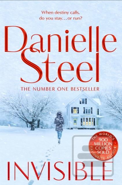 Invisible (Danielle Steel)