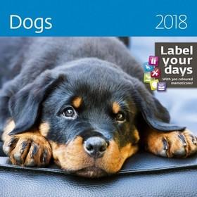 Kalendár nástenný: Dogs - nástěnný kalendář 2018