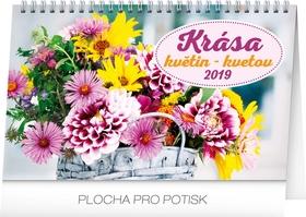 Kalendár stolný: Stolní kalendář Krása květin – Krása kve