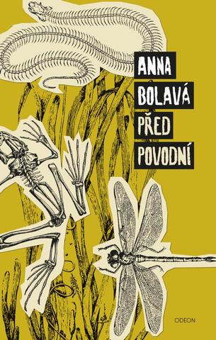 Kniha: Před povodní - 1. vydanie - Anna Bolavá